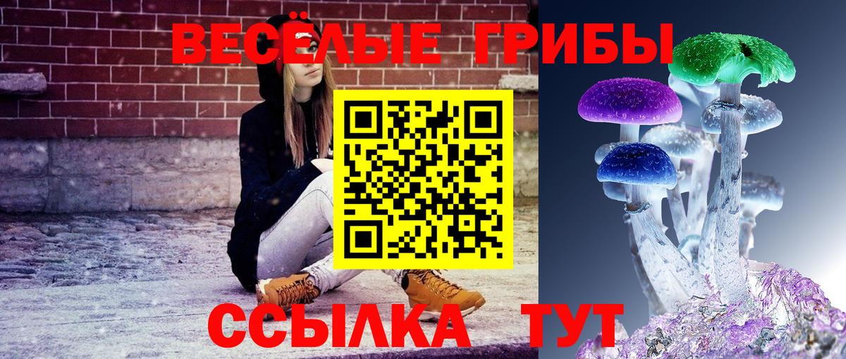 Галлюциногенные грибы прущие грибы  Вход с VPN  Псилоцибиновые грибы Psilocybine cubensis  Балахна 