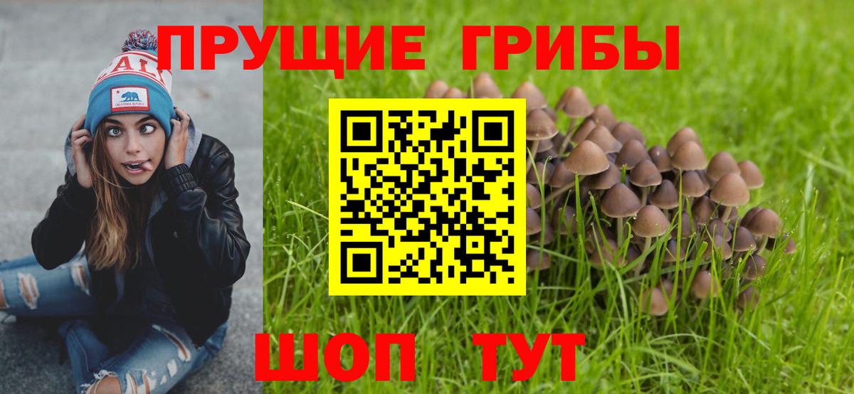 МАРИХУАНА  LSD-25  Вейп ТГК  ГАШ  Меф кристаллы  Балахна  Конопля  Вход с VPN 
